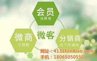工厂网络推广 龙海网络推广 网加科技发发新闻